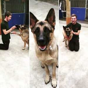 pic of Nero and Hector